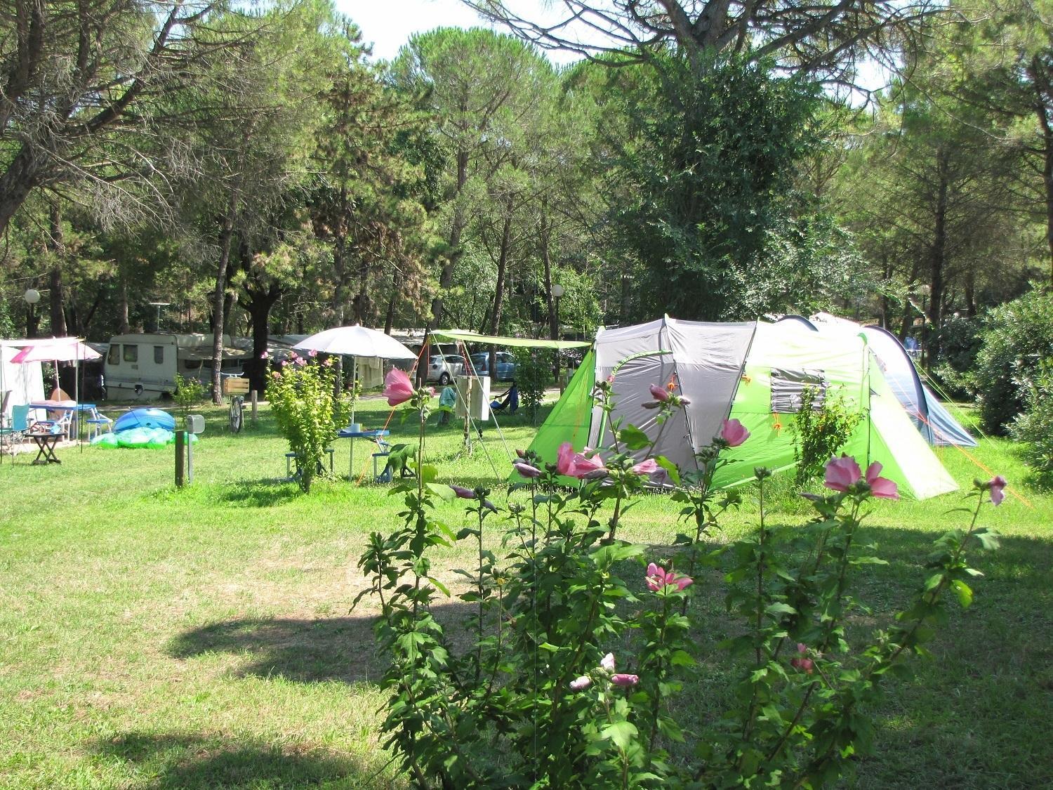 Belvedere Pineta Camping Village Grado Luaran gambar